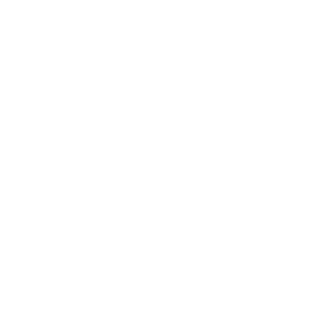 Audi_Negativo