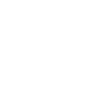 Nissan_Negativo